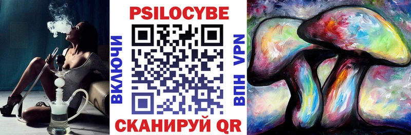 Купить где  Саяногорск  Псилоцибиновые грибы мицелий 